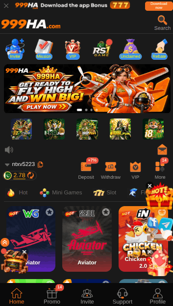 999ha